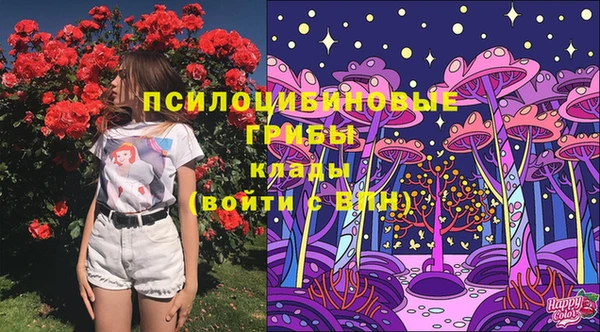 дурь Михайловск